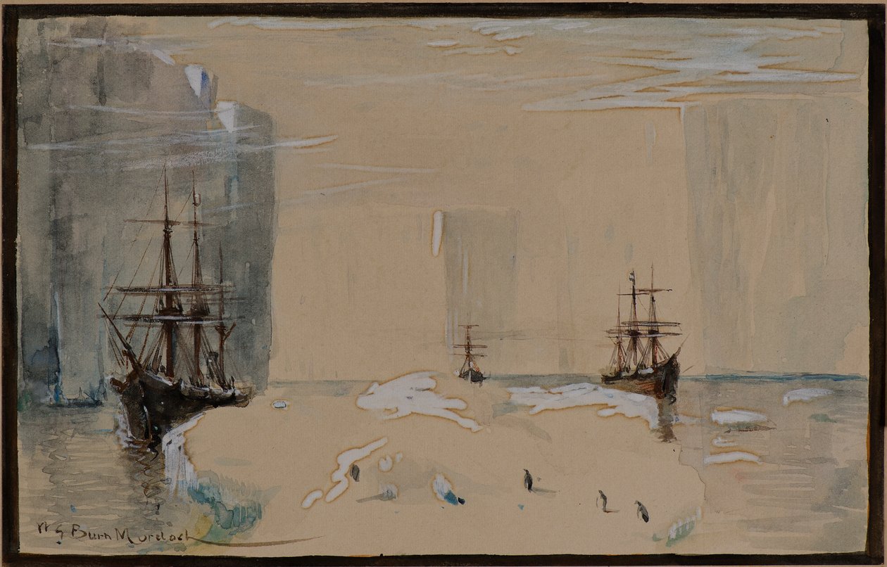 Esboço da Expedição Baleeira de Dundee Antarctic de William G. Burn Murdoch