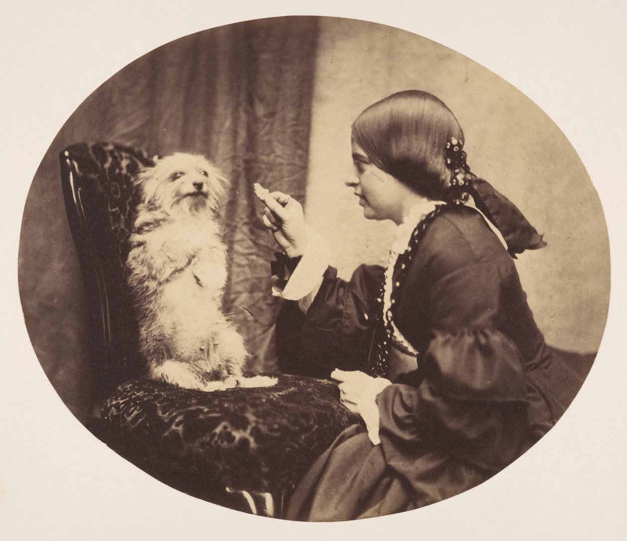 A Lição, 1856. de William G. Campbell