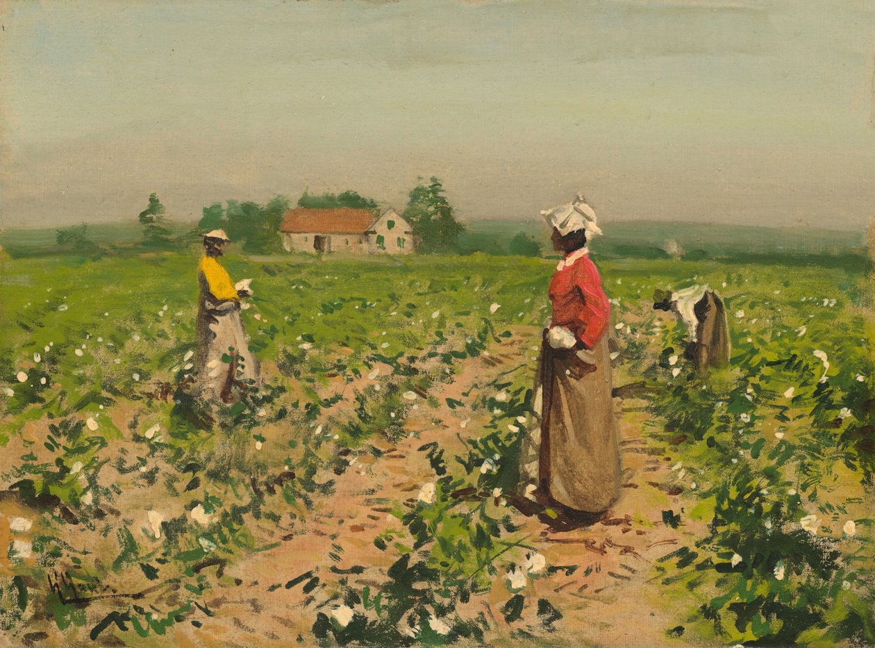 Apanhando Algodão, c. 1890. de William Gilbert Gaul