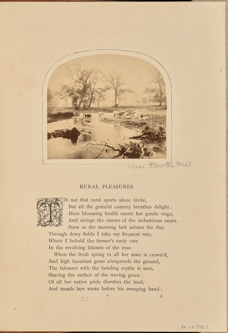 [Cena pastoral com gado num campo inundado, Inglaterra] de William Grundy