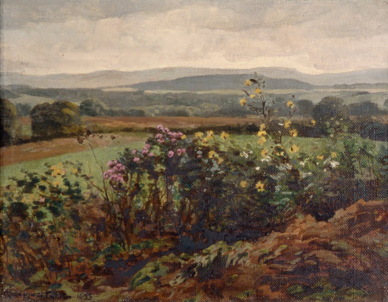 Flores silvestres de William Gunning King