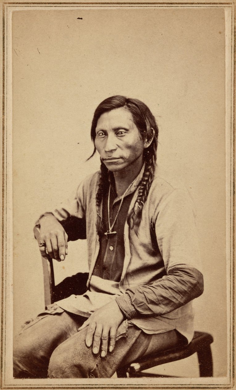 Lobo cinzento, década de 1860 (foto) de William Gunnison Chamberlain