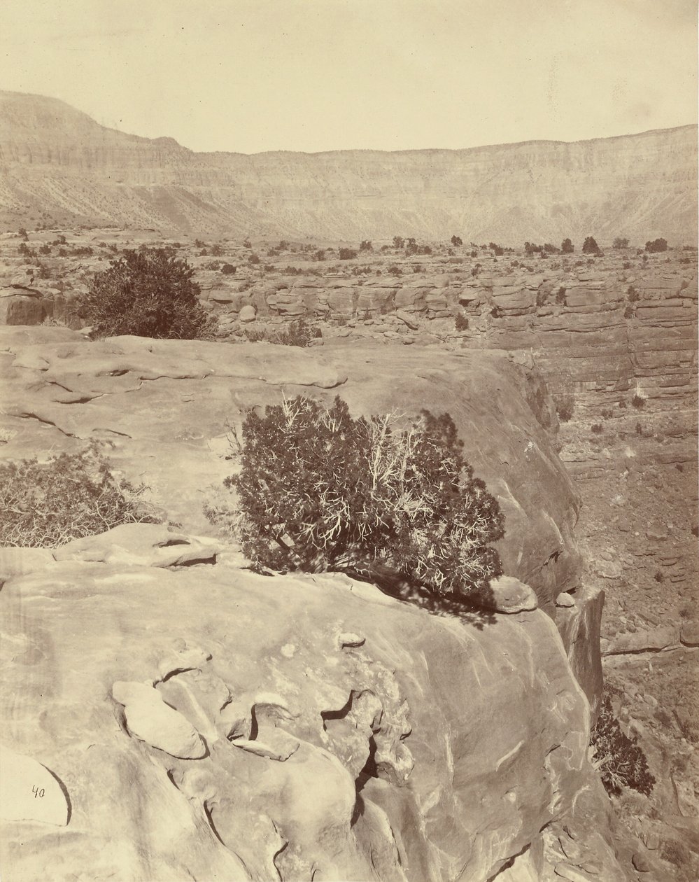 Planalto, a norte do Grand Canyon de William H. Bell