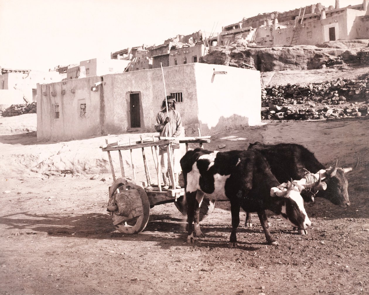 A Antiga Carreta, Laguna, Novo México de William H. Jackson