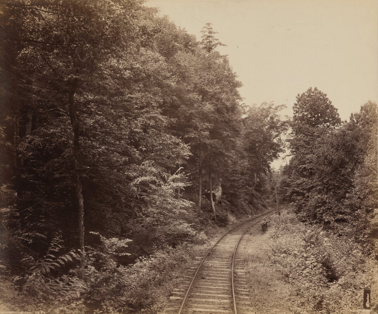 Vale de Musconetcong de William H. Rau