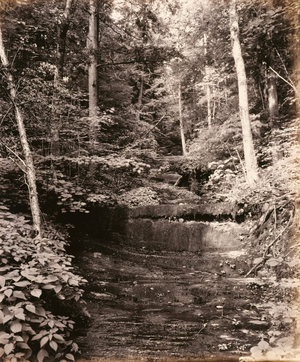 Lago Owasco, Cascade Glen, para a Lehigh Valley Railroad de William H. Rau