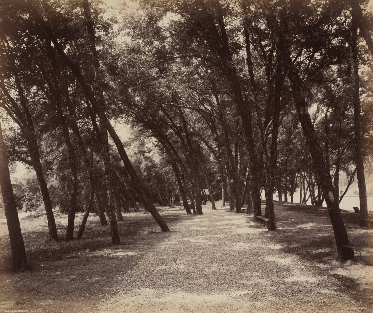 Área de piquenique de William H. Rau