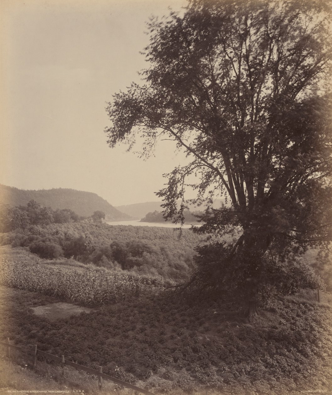 A pitoresca Susquehanna, perto de Laceyville de William H. Rau