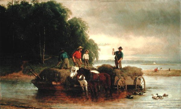 Gathering Sedge, Rio Shrewsbury, Nova Jersey de William Hahn