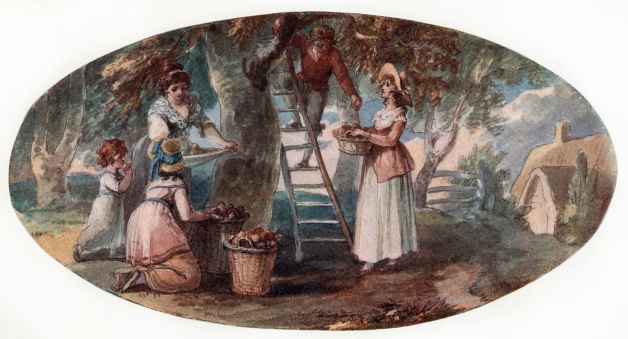 Coleta de frutas, final do século XVIII. de William Hamilton