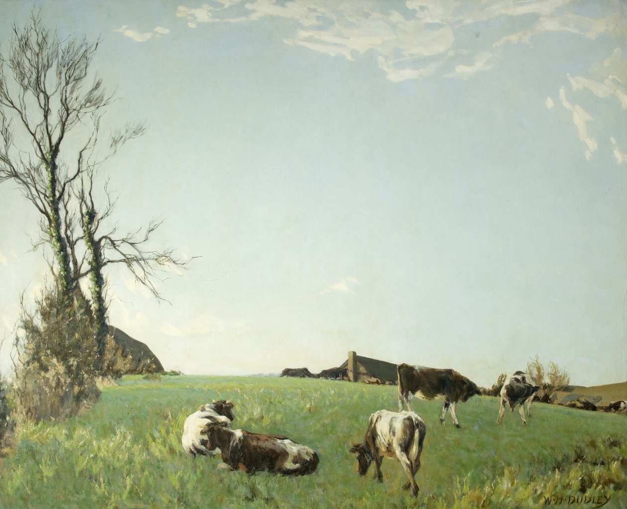 Manhãs de prata de William Harold Dudley