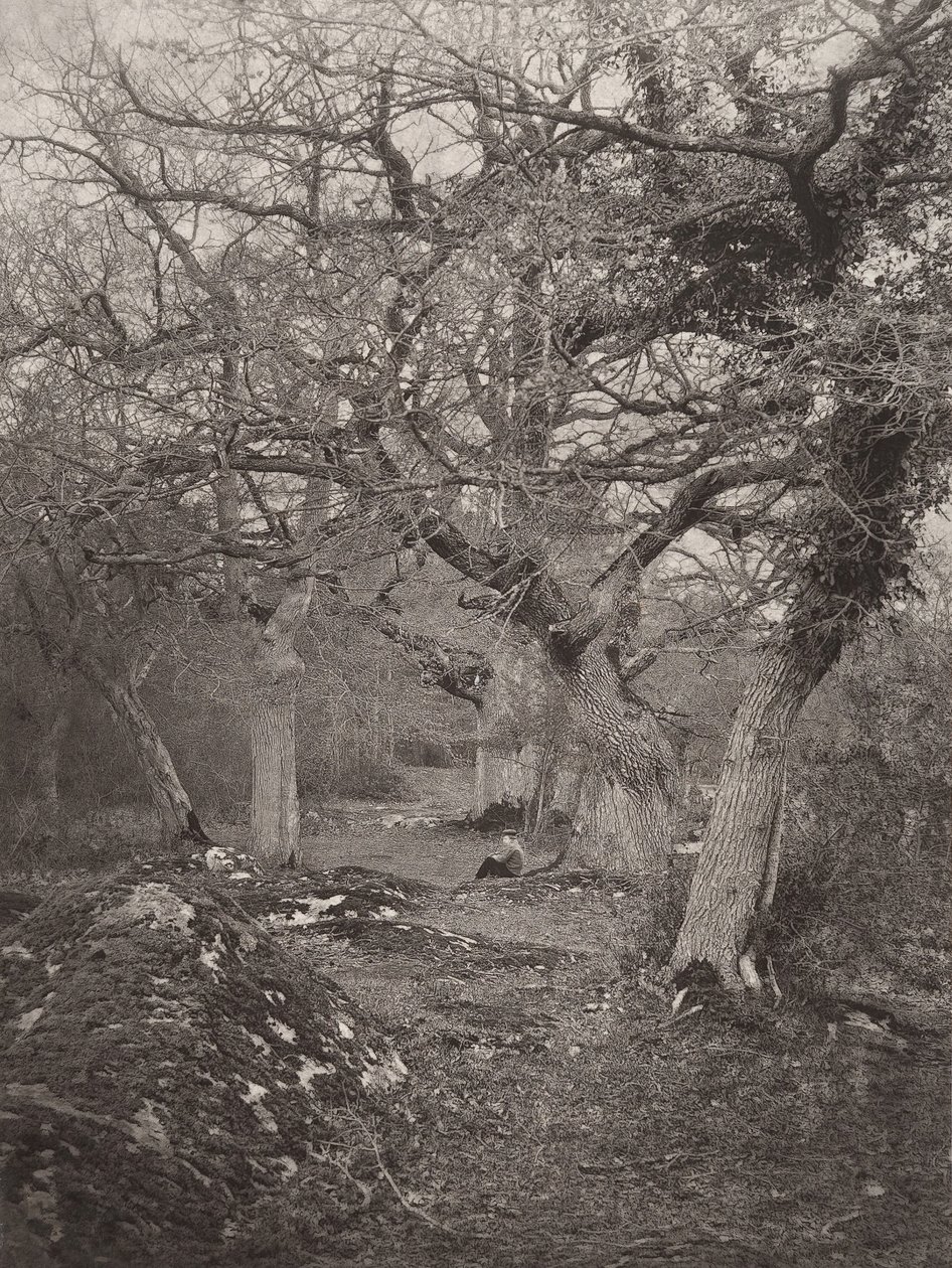 Floresta de Fontainebleau, década de 1870. de William Harrison