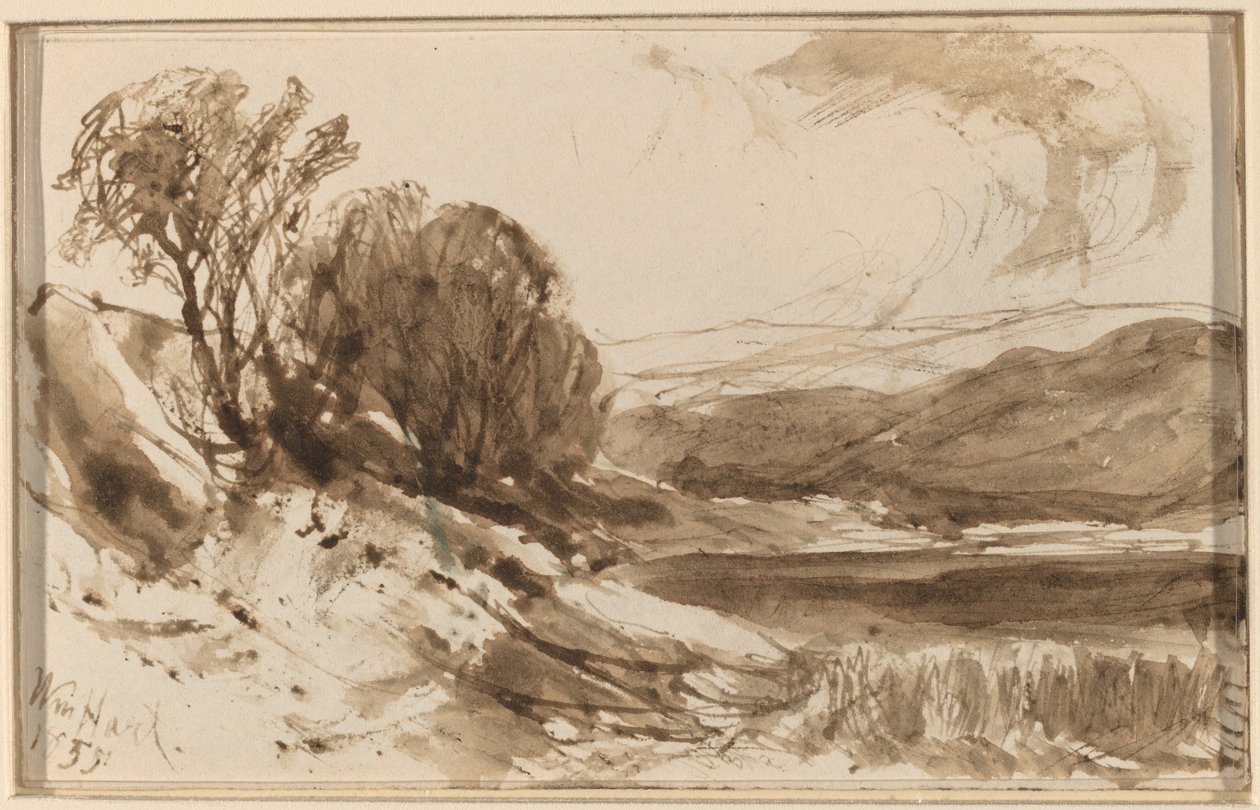 Paisagem montanhosa com árvores de William Hart