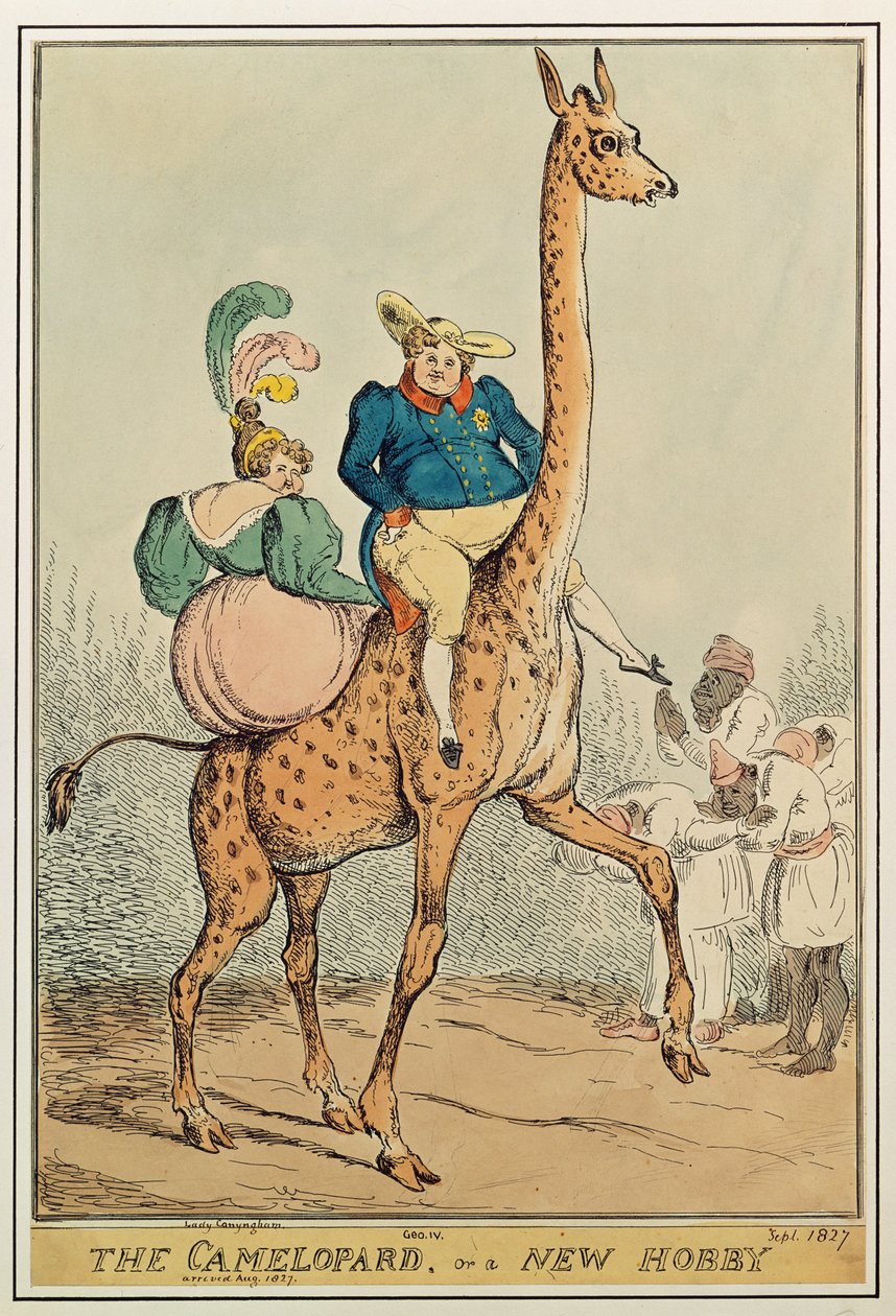 O Camelopard, ou um novo passatempo, 1827 (gravura a cores) de William Heath