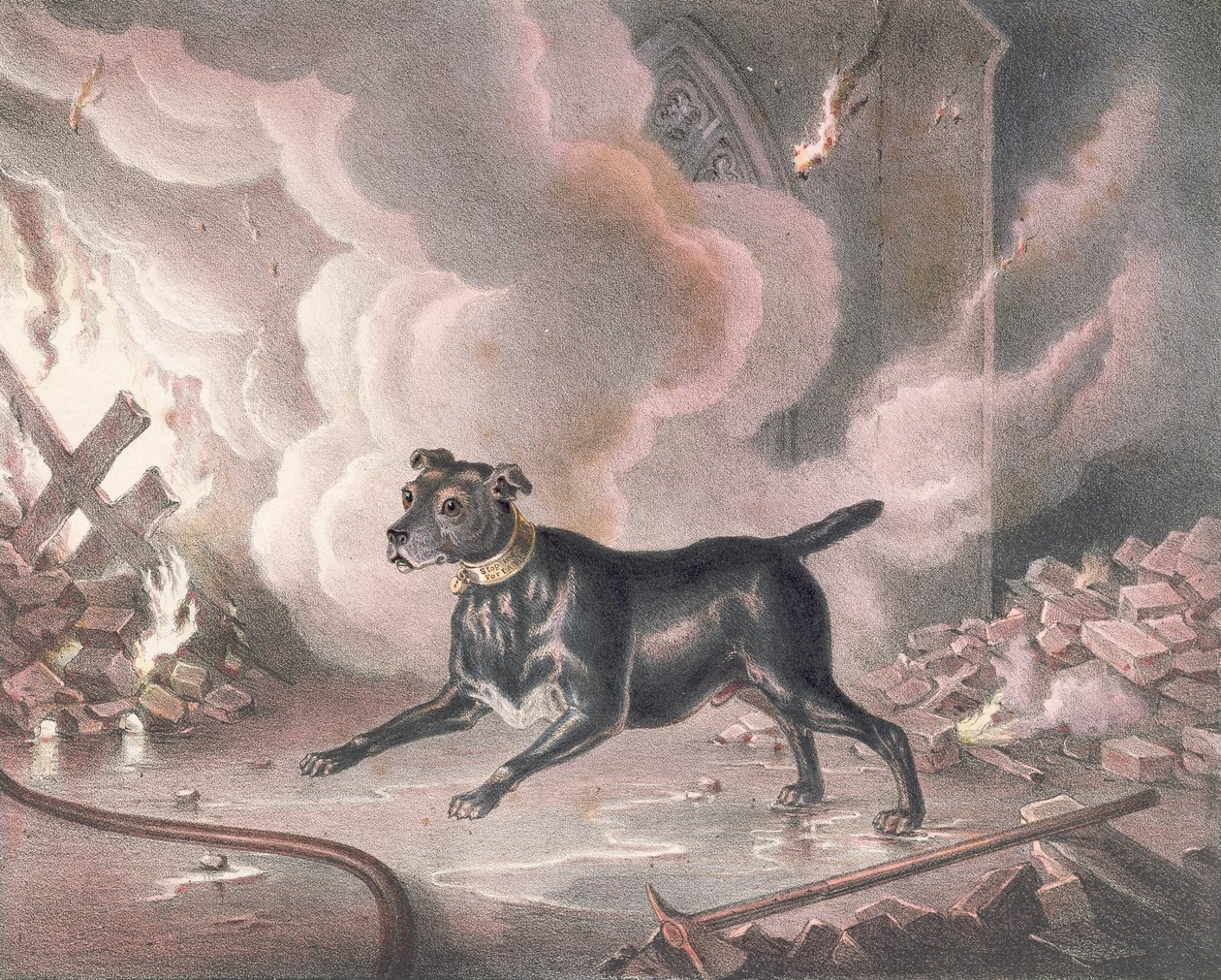 O cão do bombeiro de Londres de William Heath