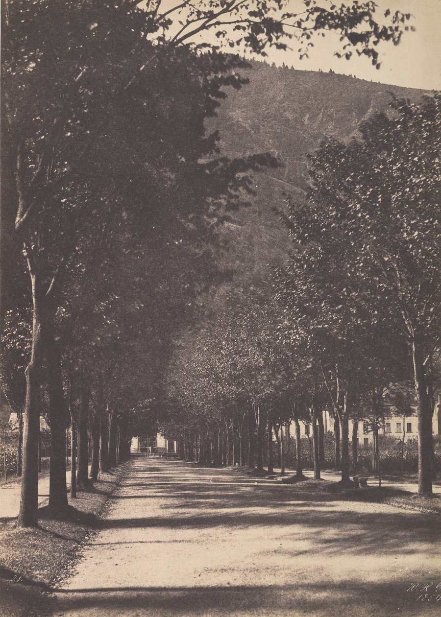 Beco das Árvores, Pau, 1854. de William Henri Gebhard