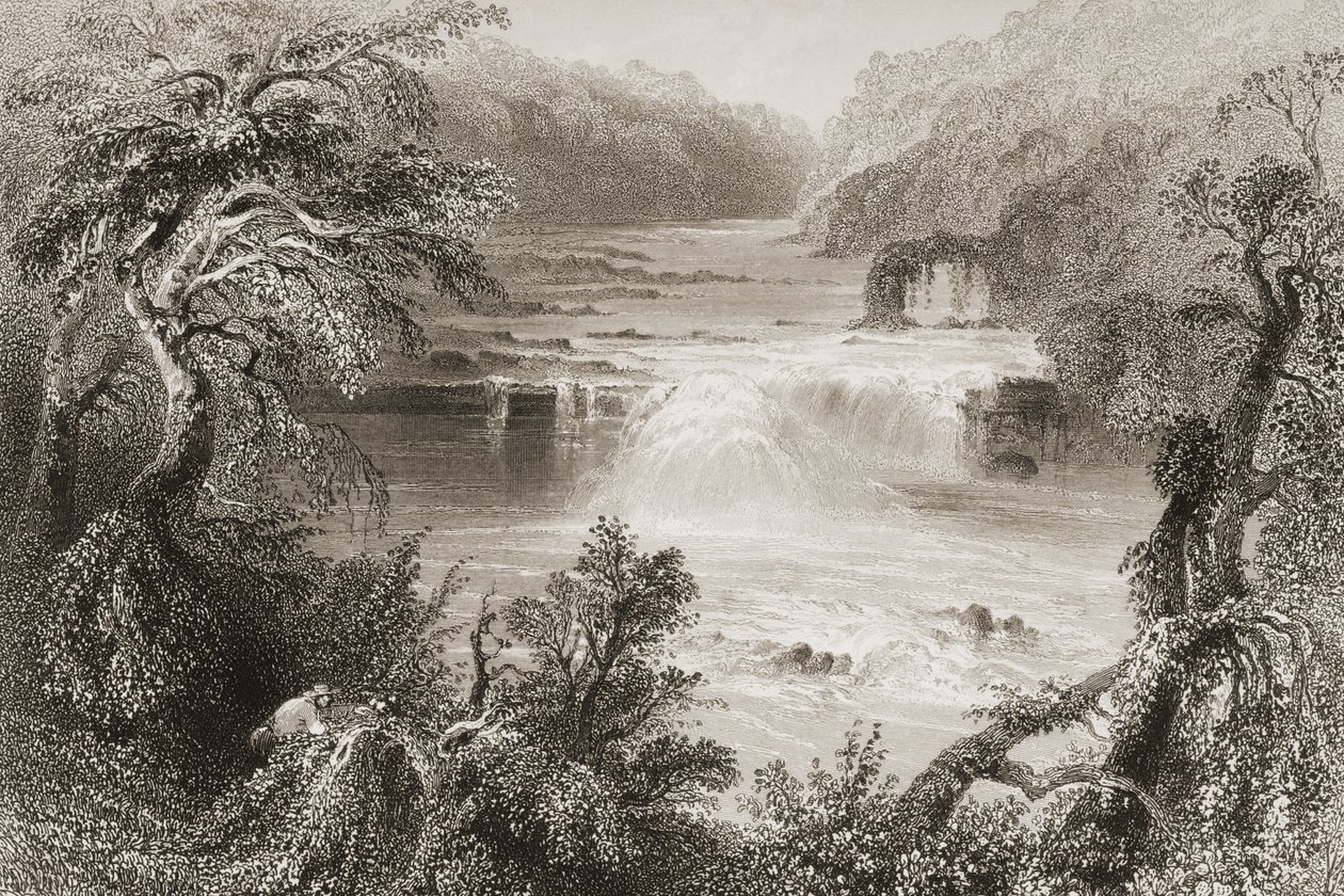 Salmão Salto em Leixlip, Condado de Kildare, de &39;Cenário e antiguidades da Irlanda&39; por George Virtue, de 1860 de William Henry Bartlett