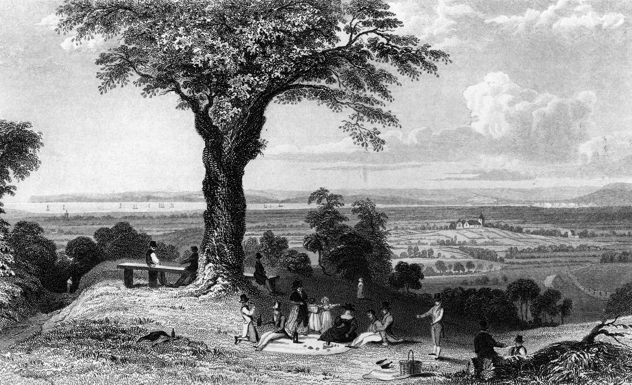 Cena de Laindon Hill, perto de Horndon, Essex, gravado por Henry Wallis, 1832 de William Henry Bartlett