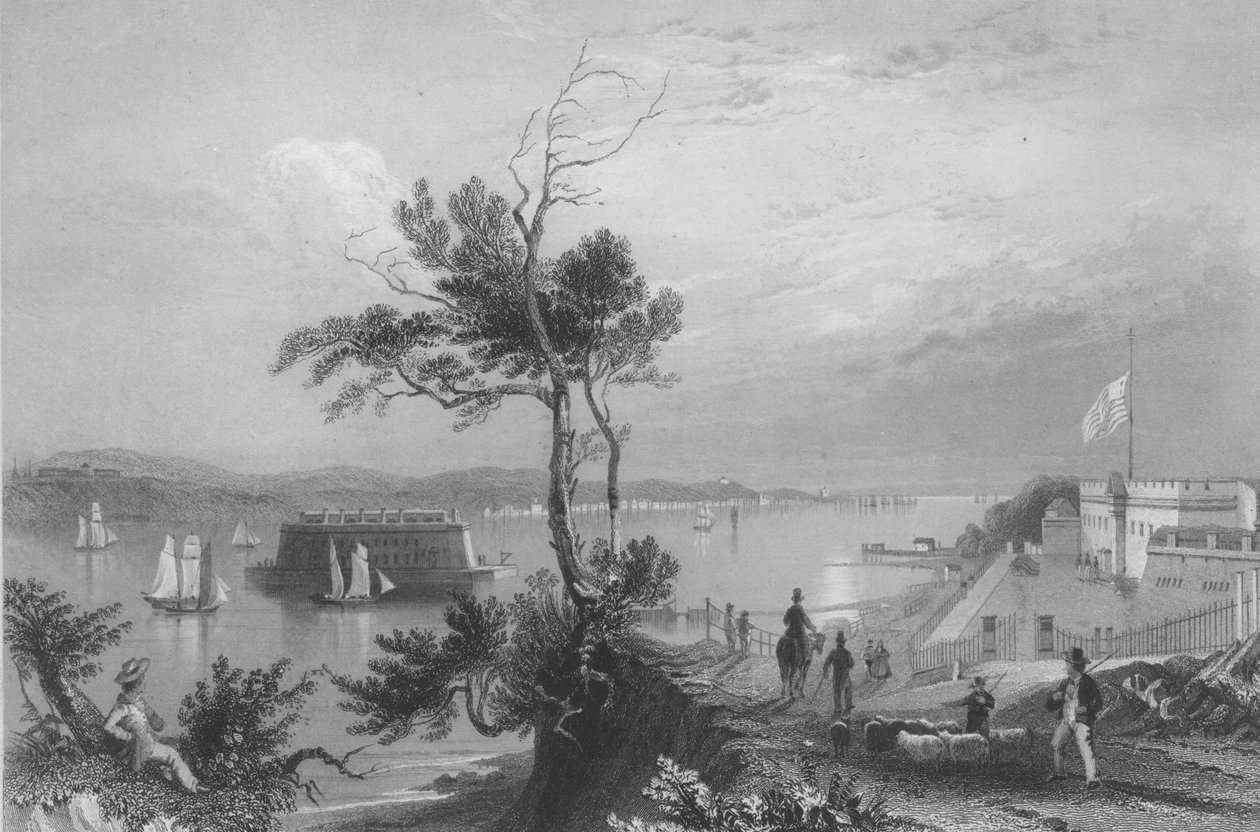 Os estreitos de Fort Hamilton de William Henry Bartlett