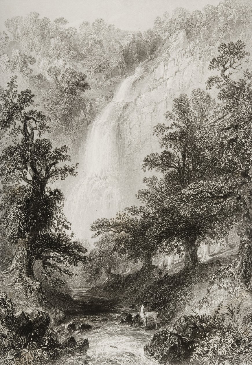 A Cachoeira, Powerscourt, Condado de Wicklow, na Irlanda, de "Cenário e Antiguidades da Irlanda" por George Virtue, de 1860 de William Henry Bartlett