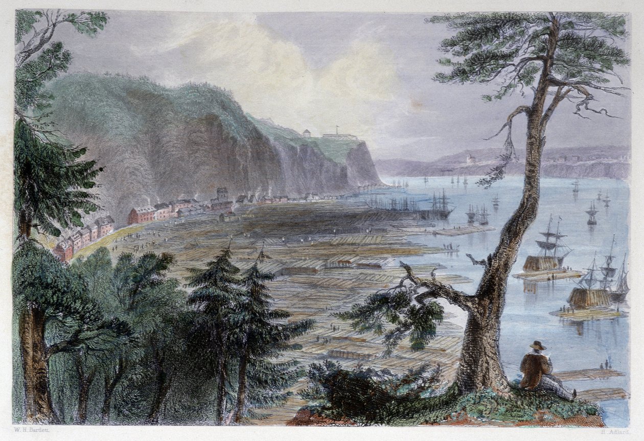 Timber Déposition près de Québec - em "Canadian scenery illustrated" por Bartlett W. H. de William Henry Bartlett