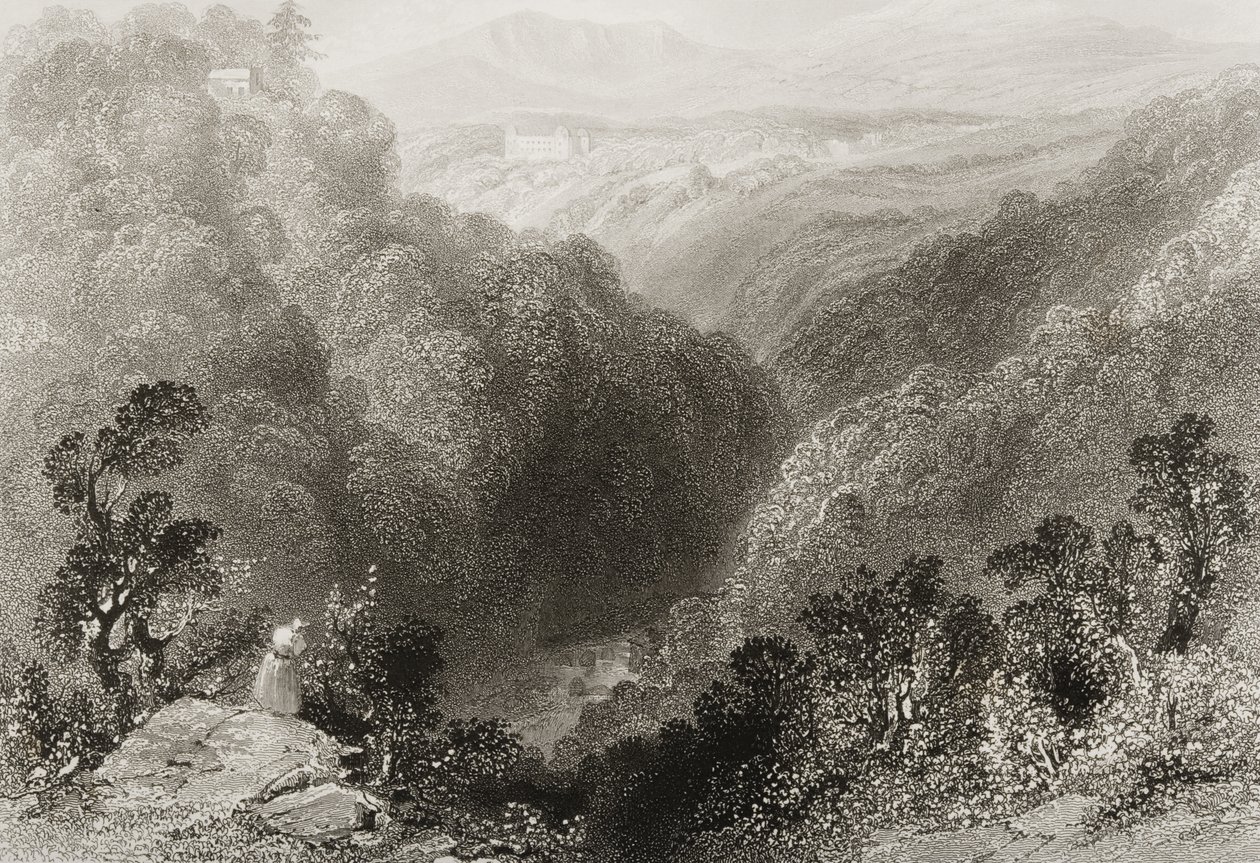 Vista de Powerscourt do Dargle, Condado de Wicklow, de &39;Cenário e antiguidades da Irlanda&39; por George Virtue, de 1860 de William Henry Bartlett