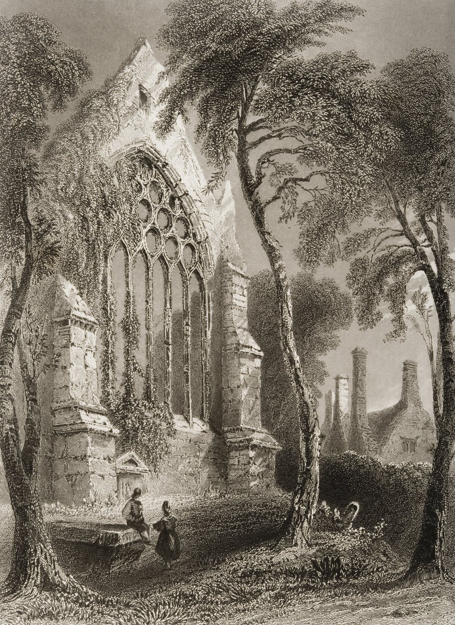 Youghal Abbey, Condado de Cork, na Irlanda, de "Cenário e Antiguidades da Irlanda" por George Virtue, de 1860 de William Henry Bartlett