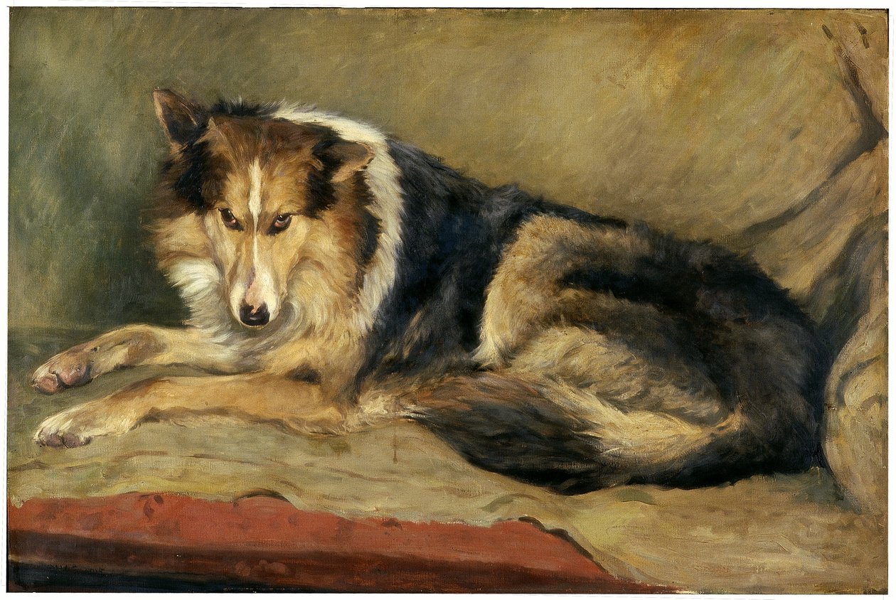 Collie Dog de William Henry Charlton