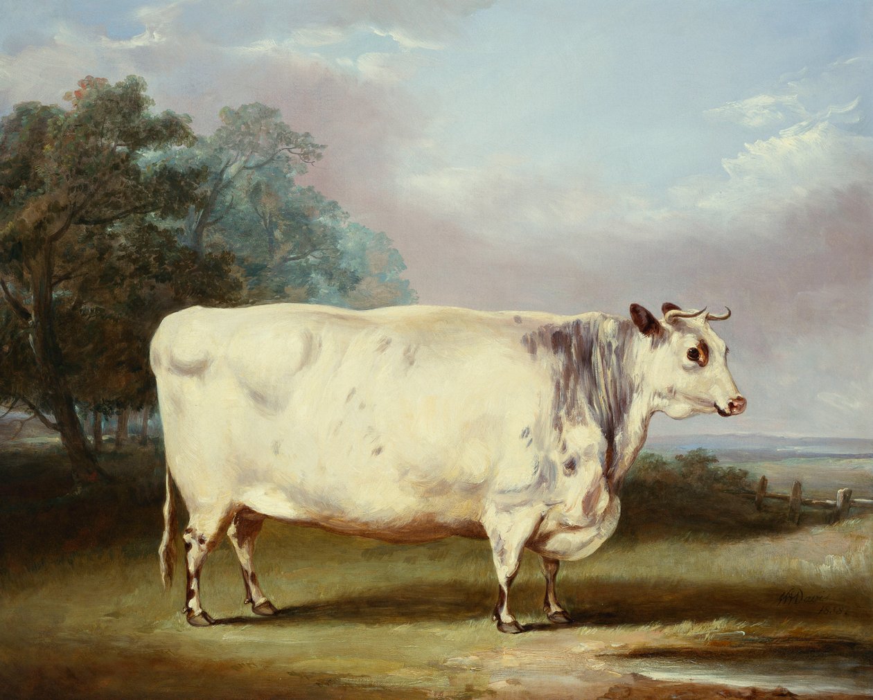 Uma vaca premiada, 1838 de William Henry Davis