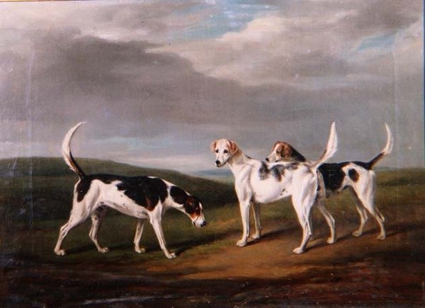 Foxhounds em uma Paisagem de William Henry Davis