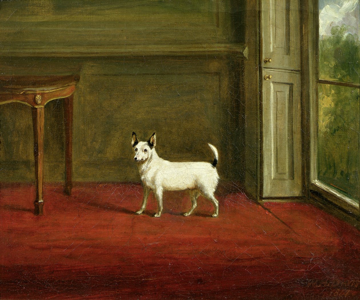 Retrato, de, um, russell jaque terrier, em, regência, interior, 1814 de William Henry Davis