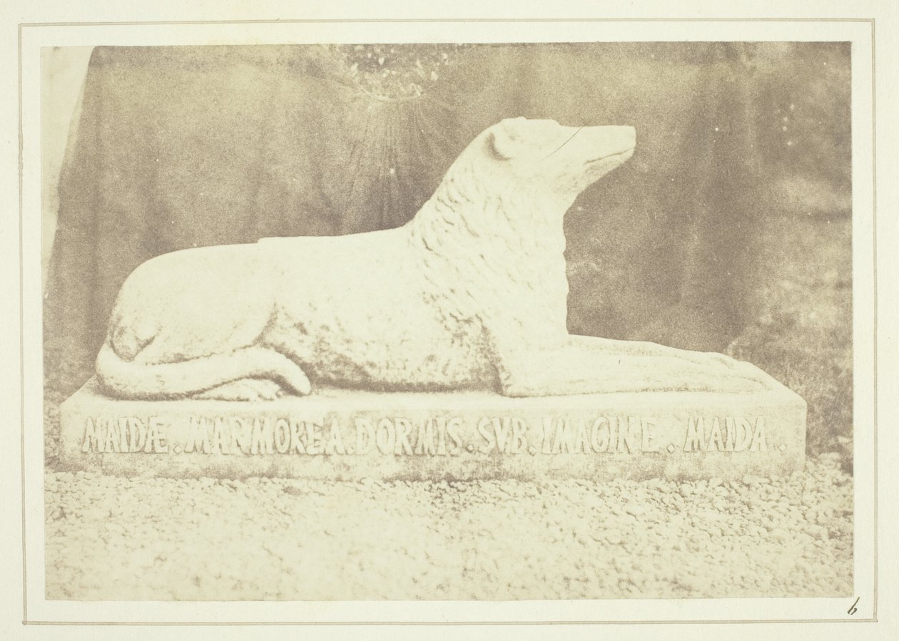 Efígie da cadela favorita de Sir W. Scott, Maida, ao lado da porta do salão em Abbotsford de William Henry Fox Talbot
