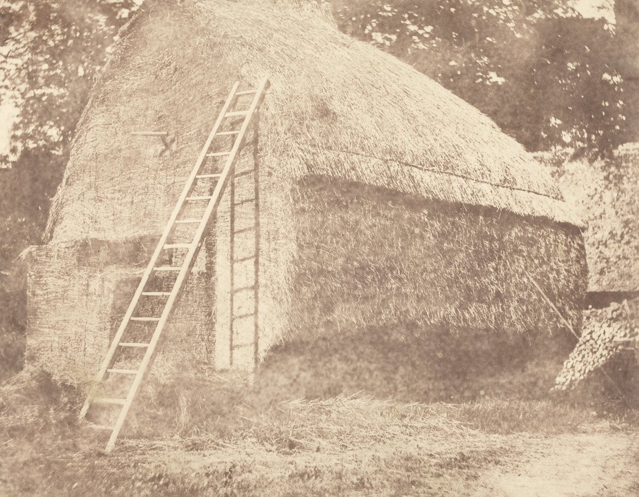 Palheiro, 1844 (foto) de William Henry Fox Talbot