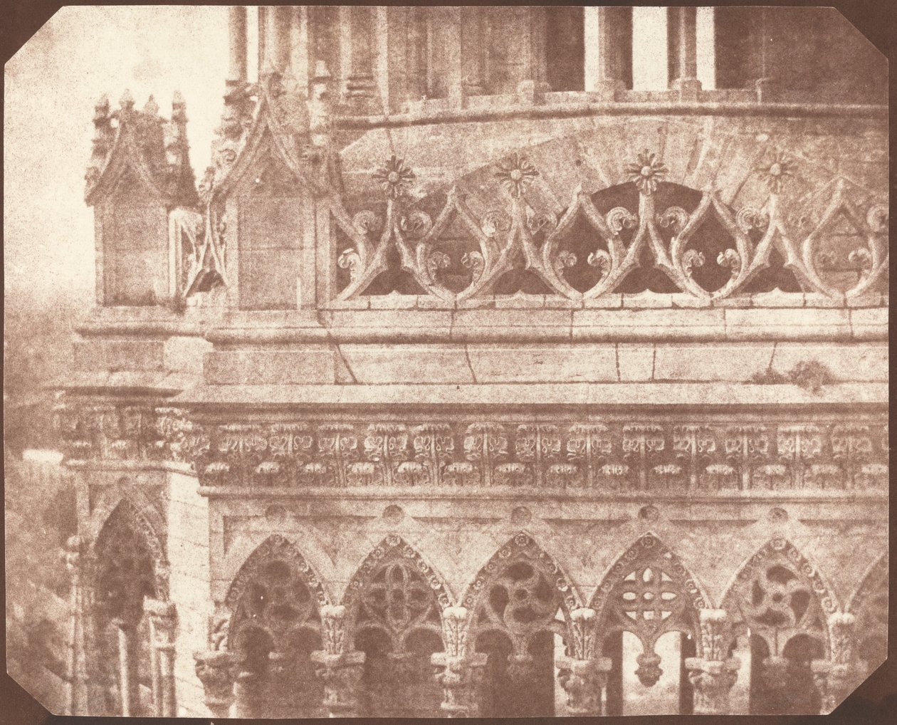 Catedral de Orleans de William Henry Fox Talbot