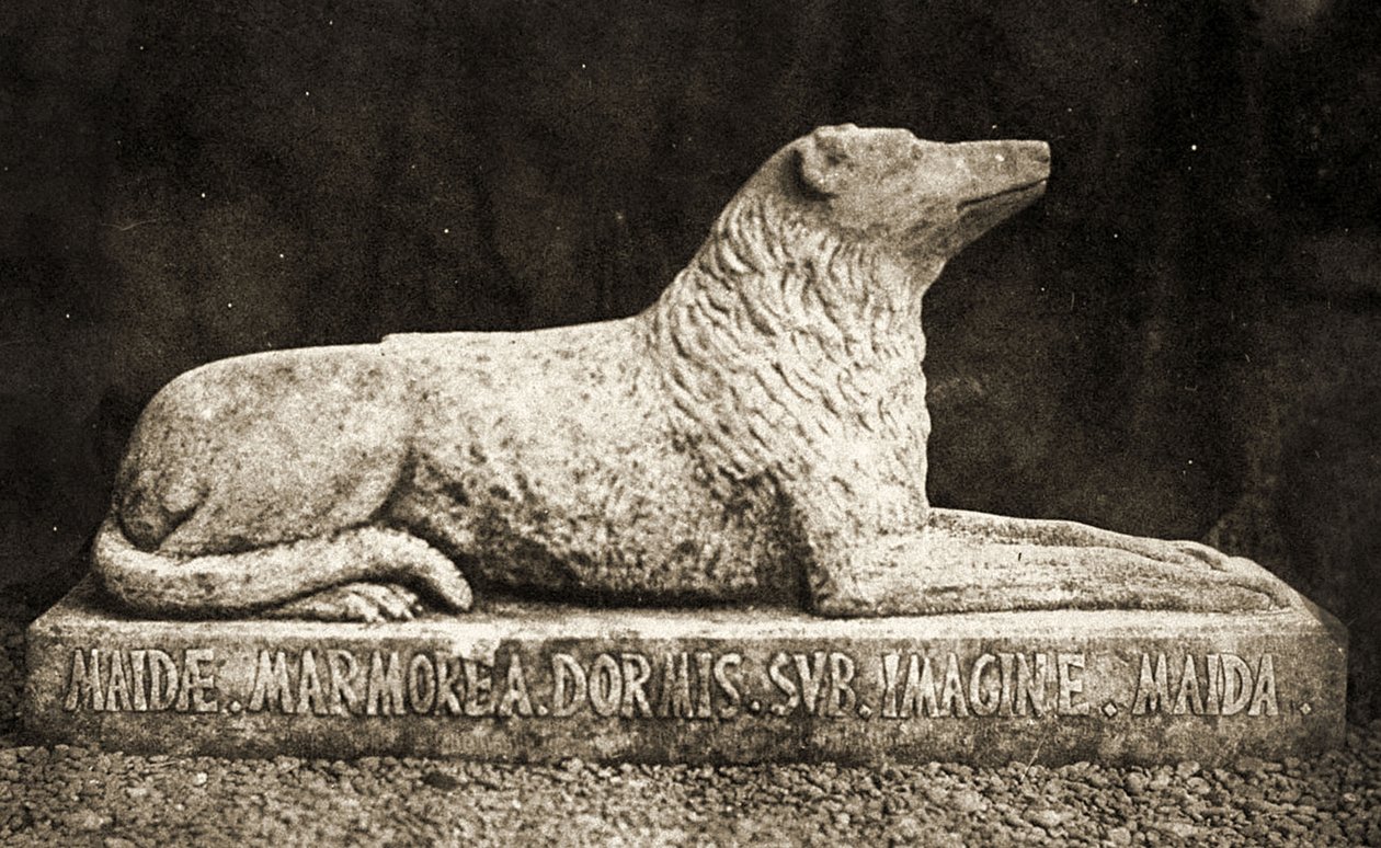 Estátua de Maida, relatado para ser o cão favorito de Sir Walter Scott. (foto sépia) de William Henry Fox Talbot