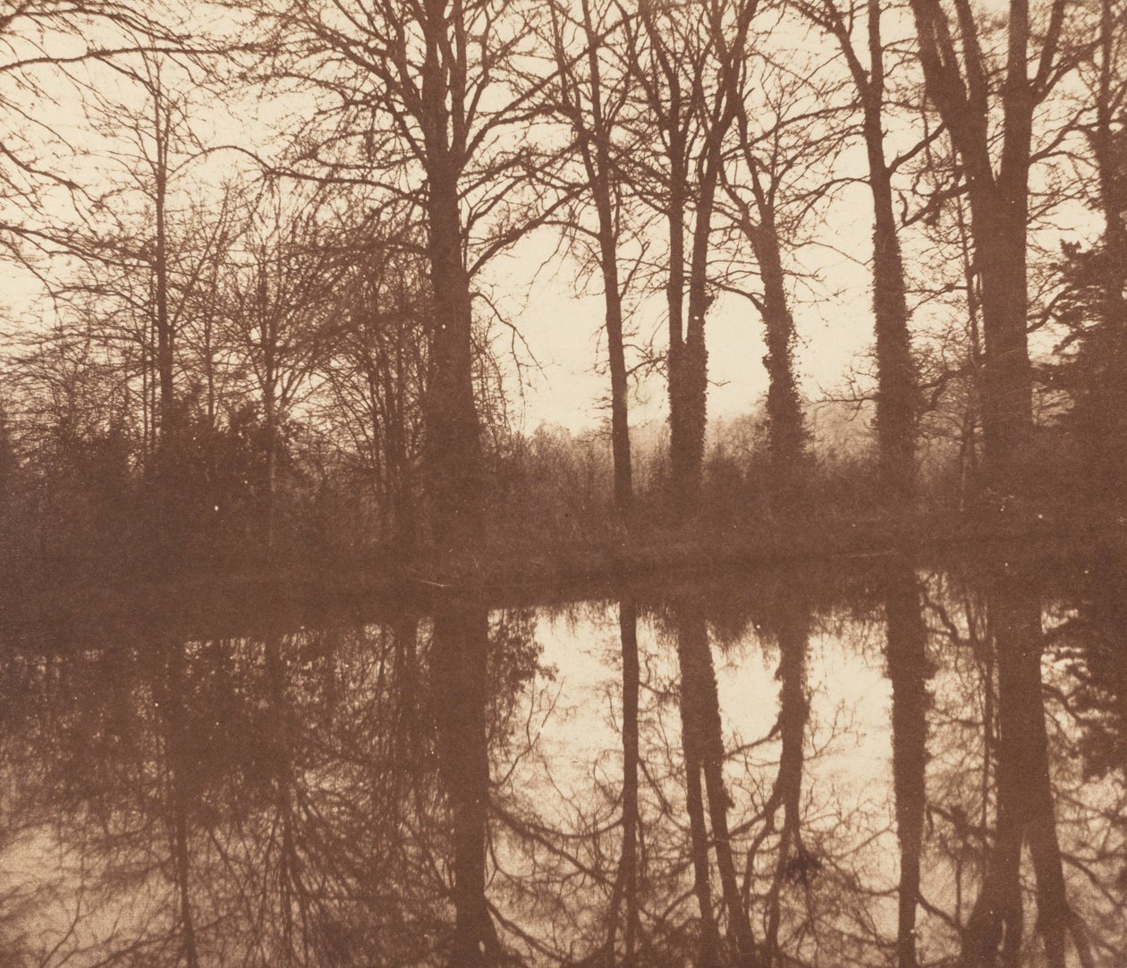 Árvores de inverno, reflectidas num lago,1841-1842 (fotografia) de William Henry Fox Talbot
