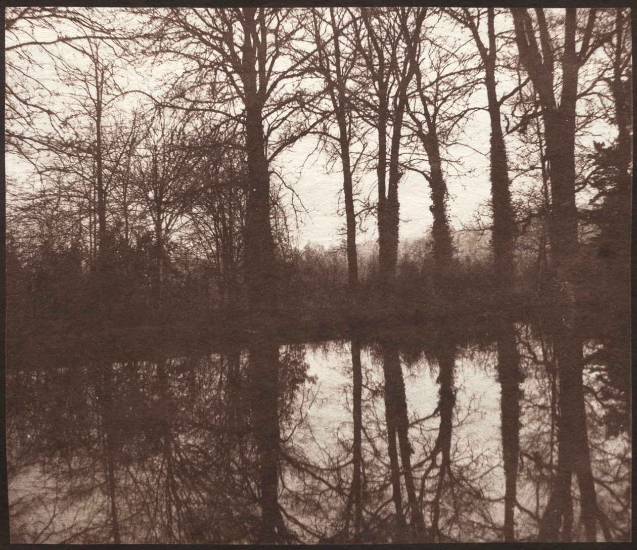 Árvores de inverno refletidas em uma lagoa de William Henry Fox Talbot