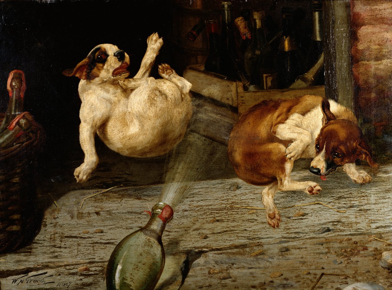 Um Resultado Surpreendente, 1887 (um de um par) de William Henry Hamilton Trood