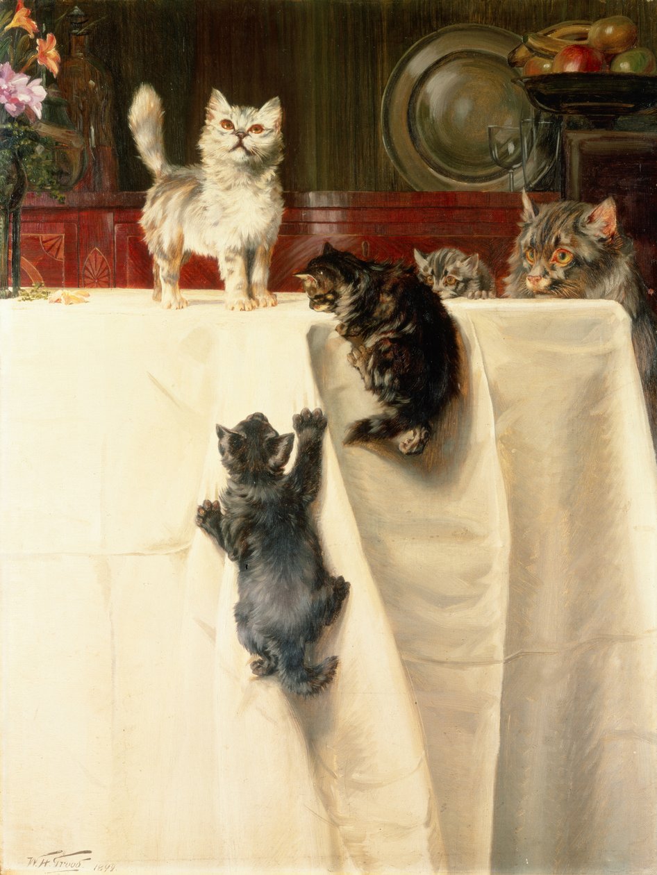Gatos de William Henry Hamilton Trood