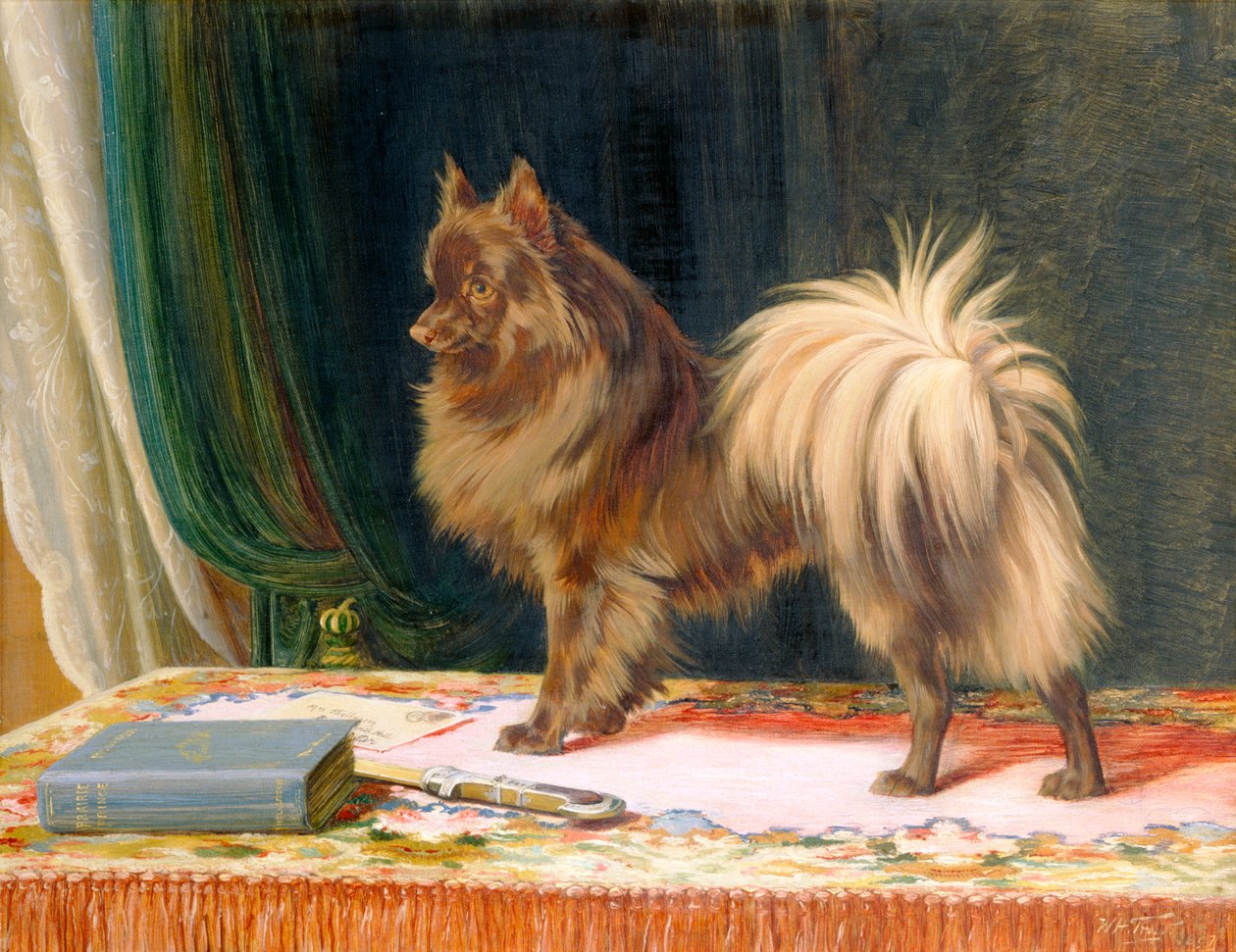 Retrato do Príncipe da Pradaria de William Henry Hamilton Trood