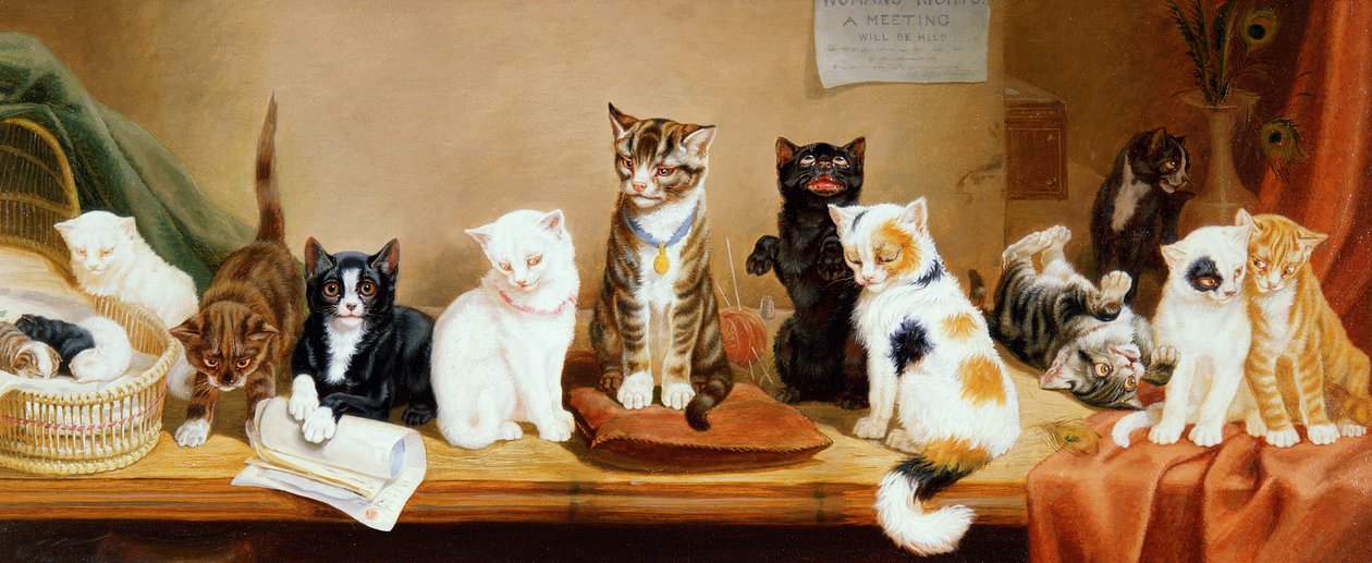 Direitos das mulheres - uma reunião, 1885 de William Henry Hamilton Trood