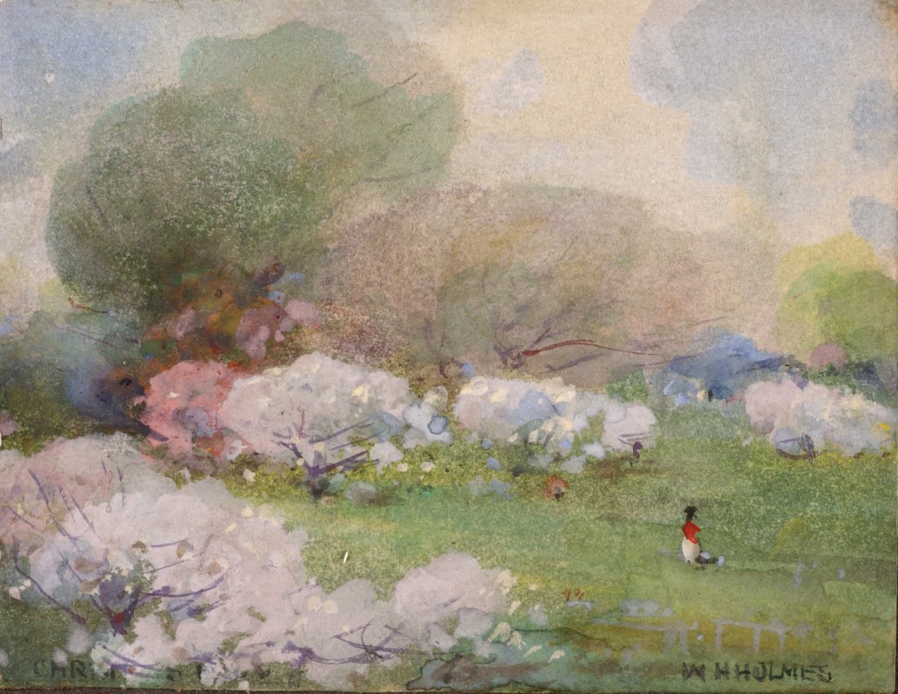 Cherry Blossoms, n.d. de William Henry Holmes