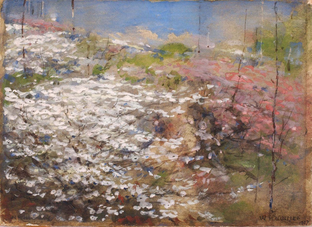 Campo de flores de William Henry Holmes