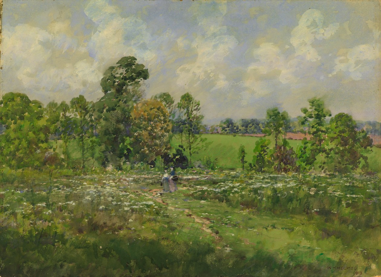 Flowery Meadow, 1910. de William Henry Holmes