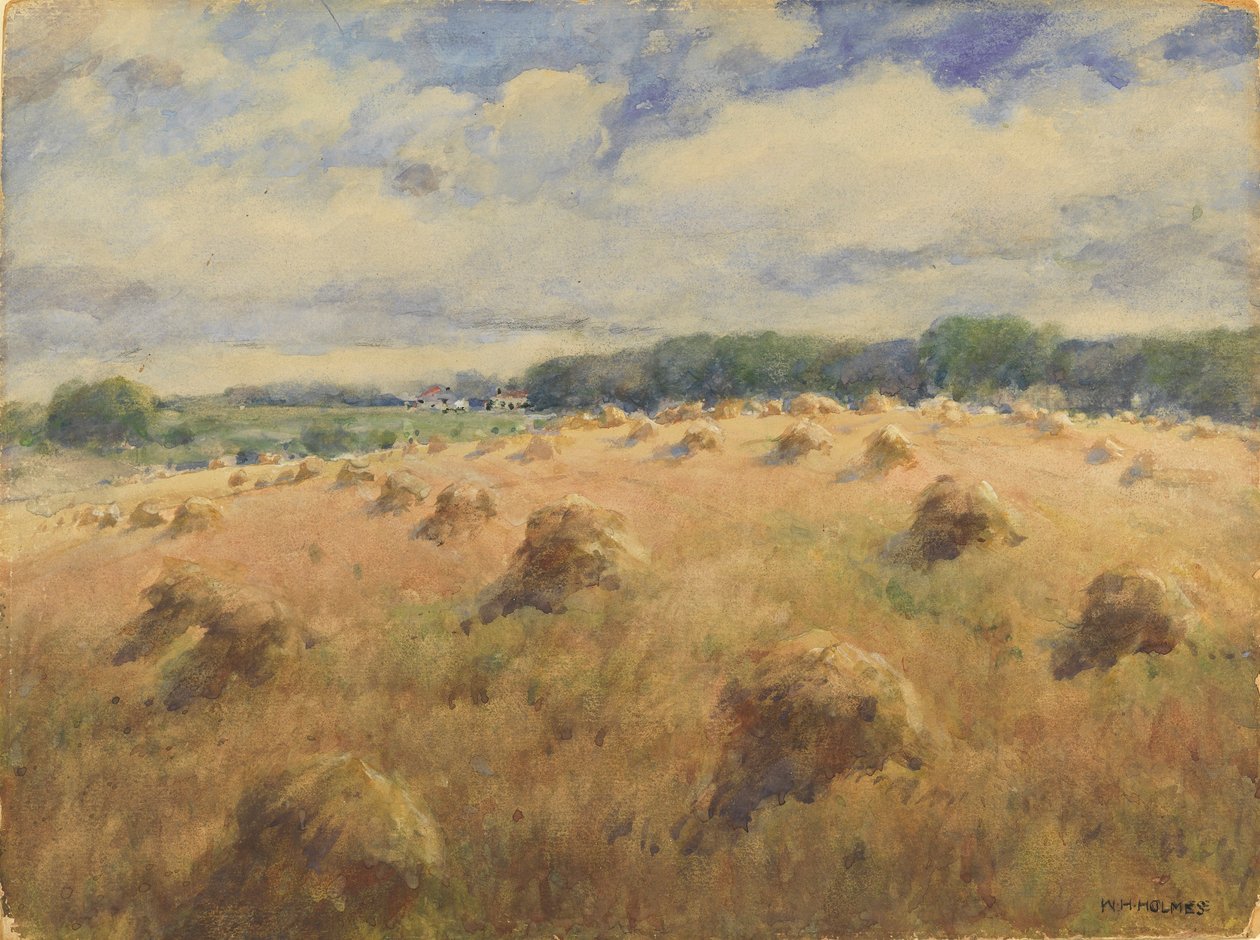 Campos de trigo de Maryland de William Henry Holmes