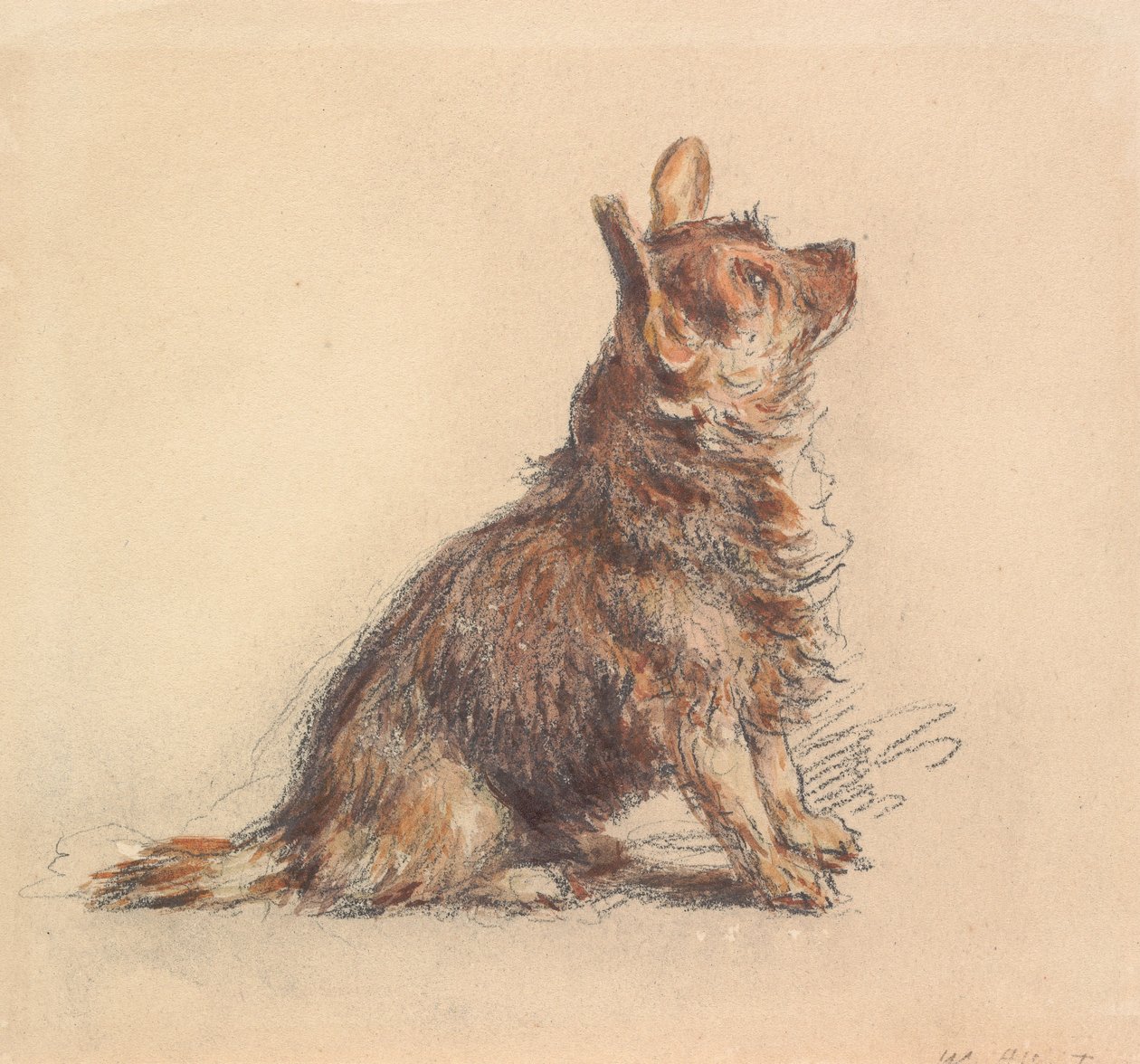 Um terrier sentado, olhando para cima à direita de William Henry Hunt