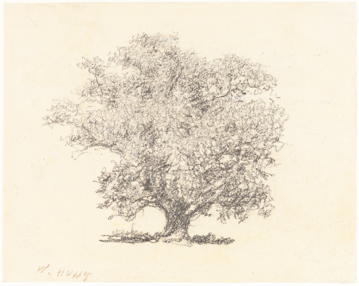 Uma árvore em folha cheia de William Henry Hunt