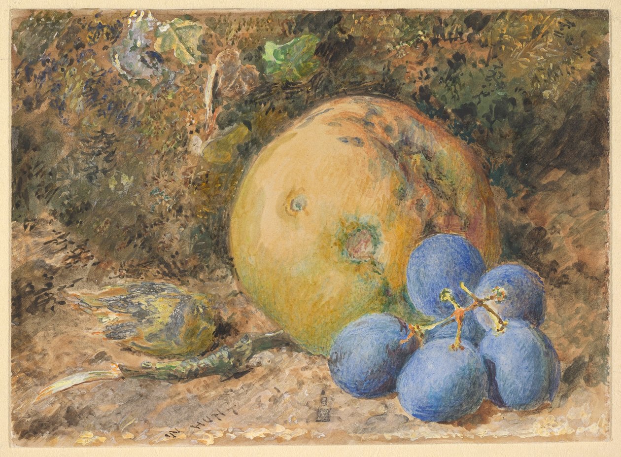 Uma maçã, uvas e uma avelã numa margem coberta de musgo de William Henry Hunt