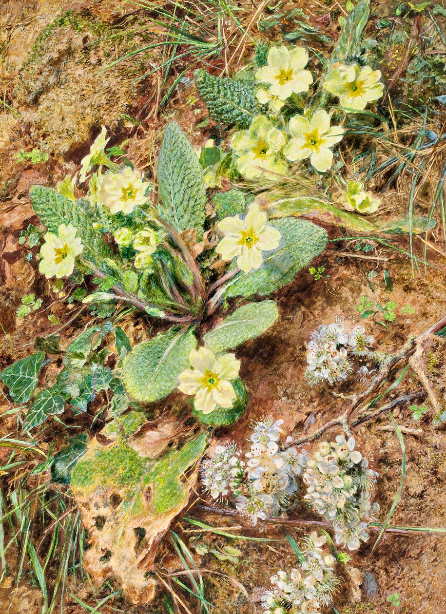 Banco de Primroses e Blackthorn de William Henry Hunt