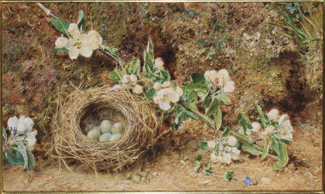 Ninho de pássaro e flor de William Henry Hunt